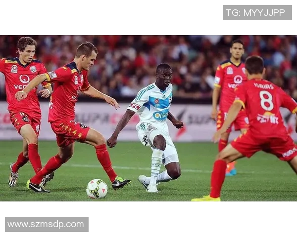 墨尔本城与惠灵顿对决前瞻及比分预测分析